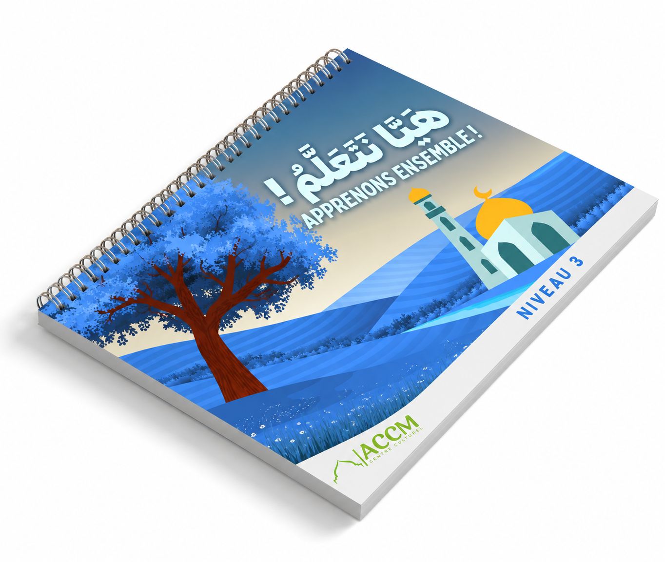Couverture du livre Niveau 3