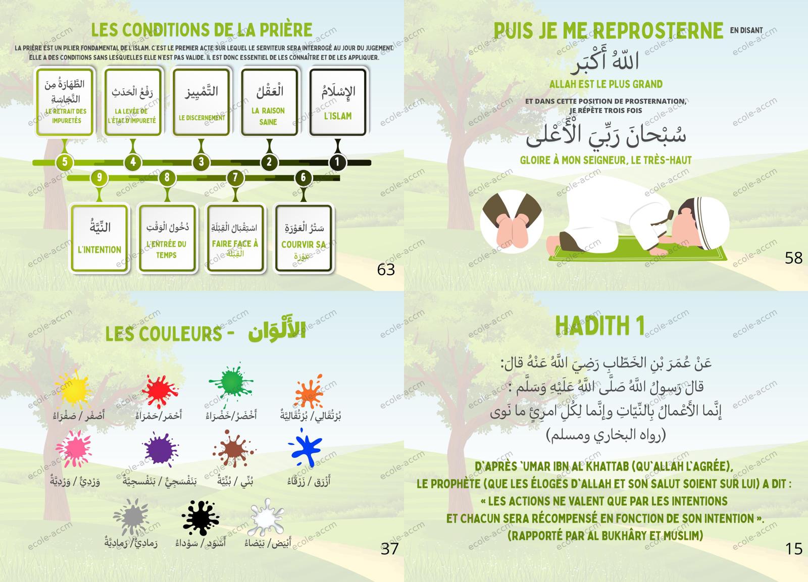 Pages intérieures du livre Niveau 2